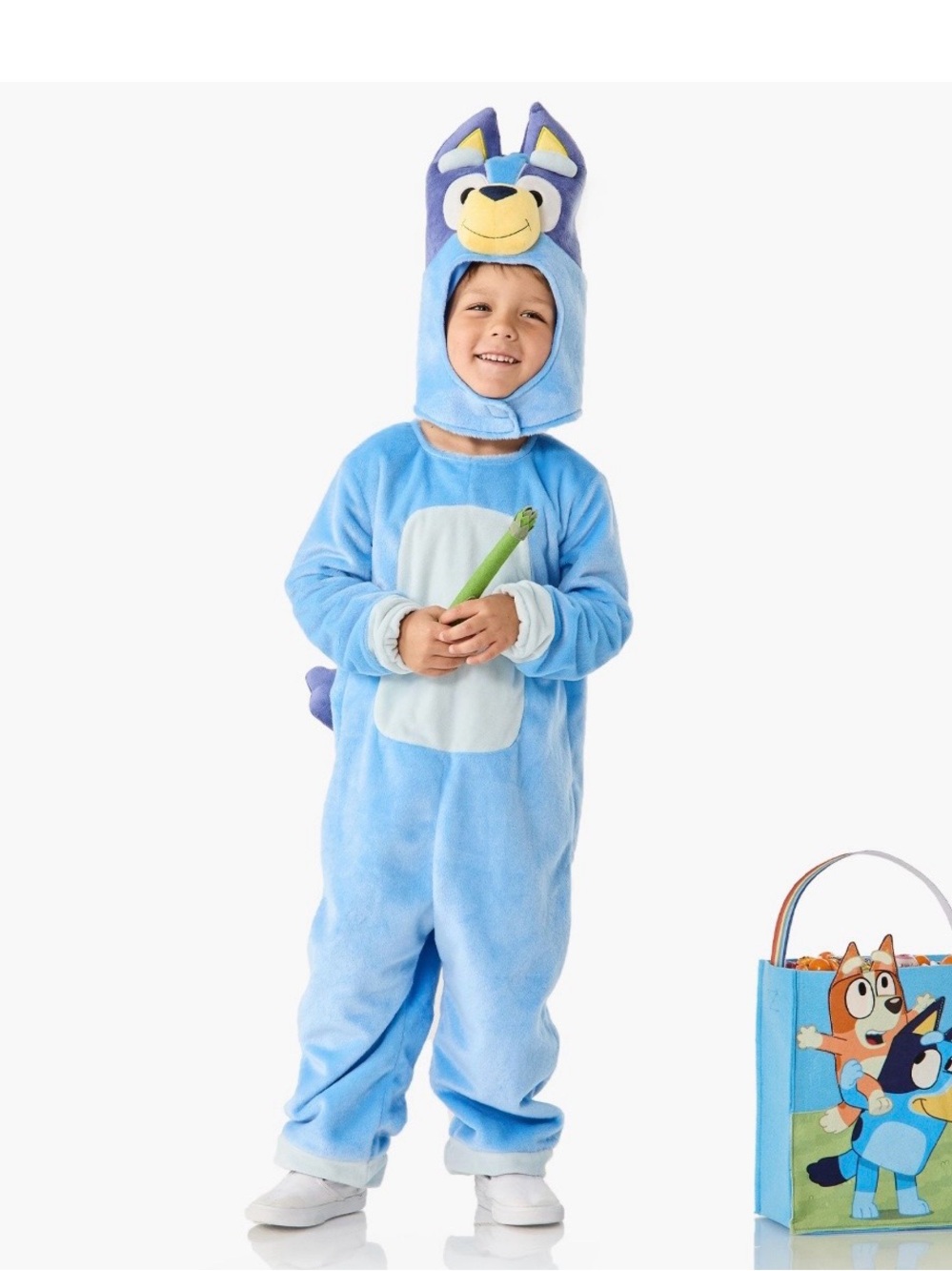 Bluey Pottery Barn Kids Costume